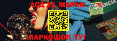 шишки Дмитров