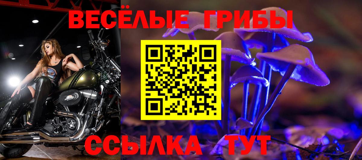 Галлюциногенные грибы прущие грибы Лосино-Петровский